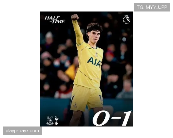 水晶宫官宣新帅上任，剑指2025赛季重返英超前列