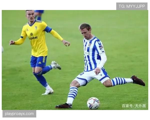 梅里诺成长空间实现关键突破,开启可持续发展新篇章 梅里诺成长空间实现关键突破,开启可持续发展新篇章